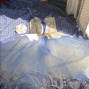 Blue Ballet Tutu
